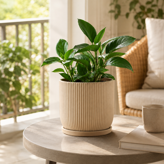 Cream ribbed ceramic indoor planter with green plant in modern home interior - image 1